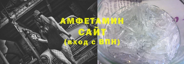 прущие грибы Аркадак