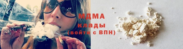 прущие грибы Аркадак