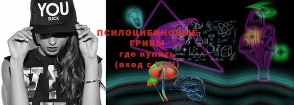 прущие грибы Аркадак