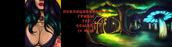 мдпв Белокуриха