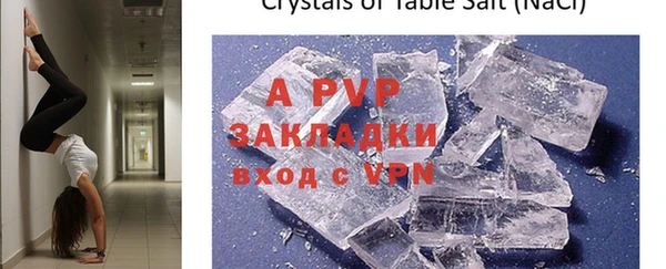 прущие грибы Аркадак