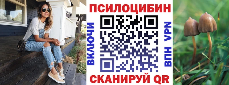 где найти   hydra вход  Галлюциногенные грибы мицелий  Белокуриха 